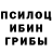 Галлюциногенные грибы мицелий Chiril Saranut