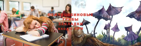 СК Алексеевка