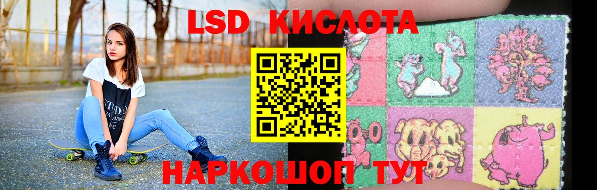 ЛСД экстази ecstasy  Вход с VPN  OMG   Советская Гавань 