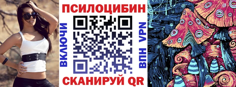 закладки  Советская Гавань  Галлюциногенные грибы Cubensis 