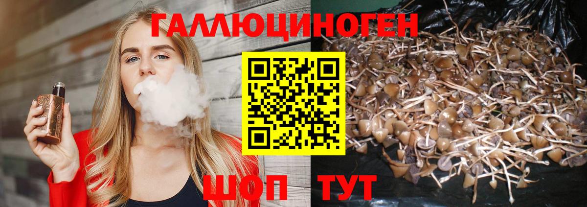 закладка  Вход с VPN  Советская Гавань  Псилоцибиновые грибы Magic Shrooms 