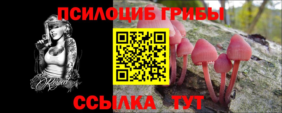 Псилоцибиновые грибы Cubensis Советская Гавань